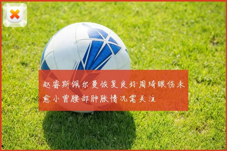 赵睿斯佩尔曼恢复良好周琦眼伤未愈小曾腰部肿胀情况需关注