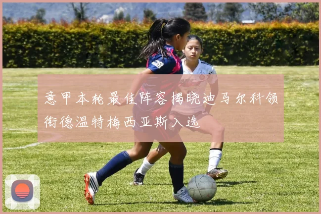 意甲本轮最佳阵容揭晓迪马尔科领衔德温特梅西亚斯入选