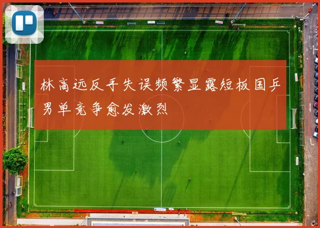 林高远反手失误频繁显露短板国乒男单竞争愈发激烈