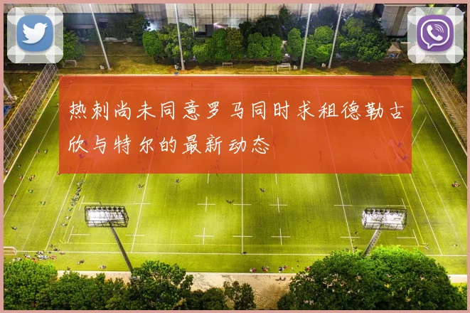 热刺尚未同意罗马同时求租德勒古欣与特尔的最新动态